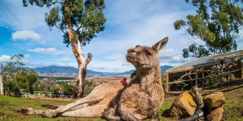 波諾朗野生動物保護基地