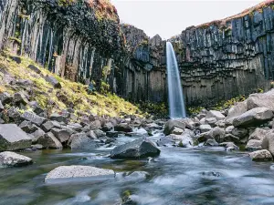 Svartifoss