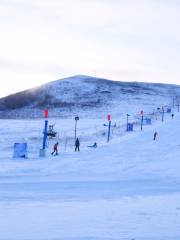 鳳凰山滑雪場