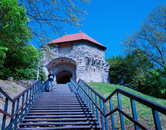 維謝格拉德 自由行套票