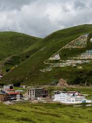 Lhagang Grassland