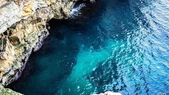 Polignano Made in Love s.r.l.s