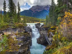 Athabasca Falls