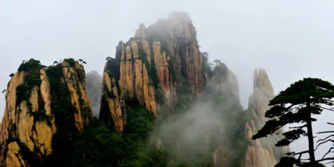 江西婺源三清山風景區一日遊【純玩跟團+含門票+專業導遊】