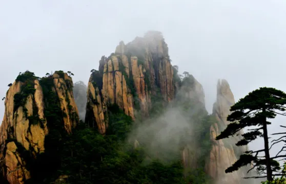 江西婺源三清山風景區一日遊【純玩跟團+含門票+專業導遊】