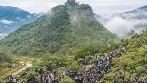 Jade Stone Forest