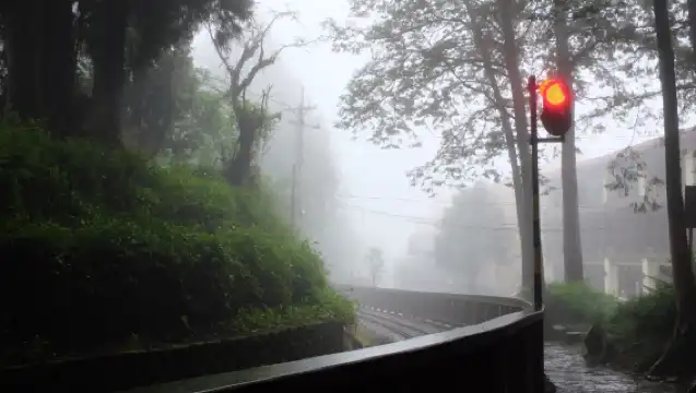 Alishan National Scenic Area Day Tour from Taichung