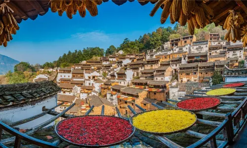 Wuyuan Autumn Sun-drying Harvest