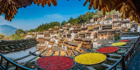 婺源農作物曬乾體驗