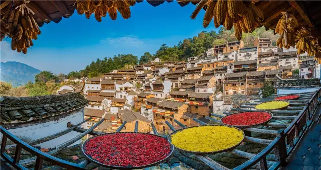Wuyuan Autumn Sun-drying Harvest