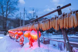 설곡(쉐구)