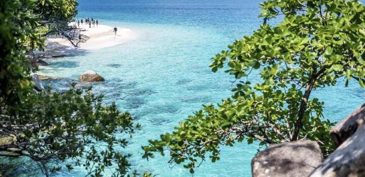 Great Barrier Island