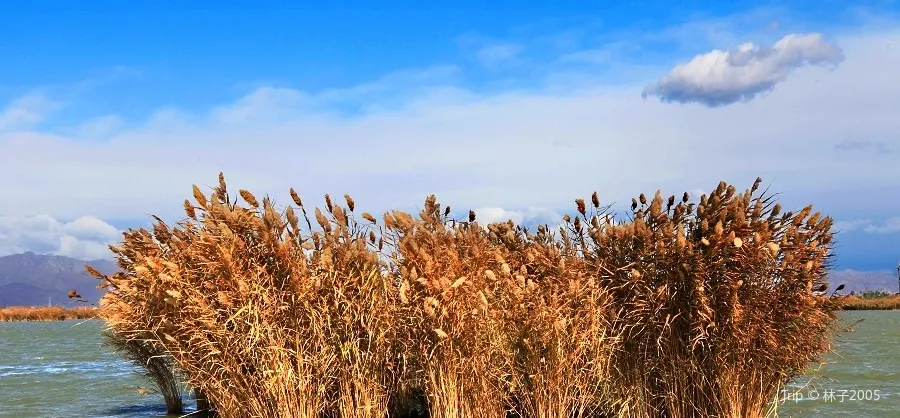 Attrazioni per la visione autunnale