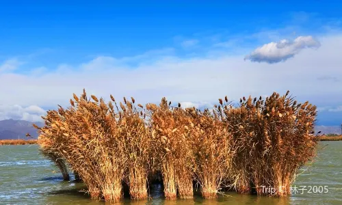 Sand Lake