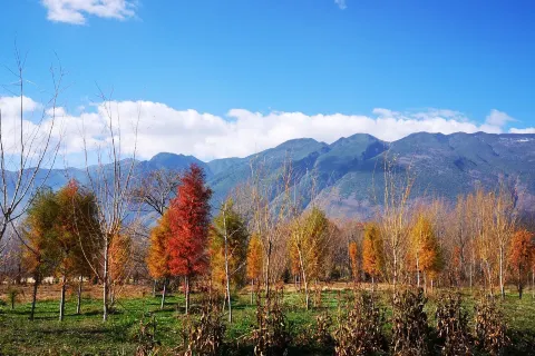 Cangshan Mountain