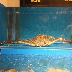 蟹的岡田屋(徐汇绿地缤纷城店) User Photo