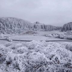彭记家常菜肥肠鱼 User Photo
