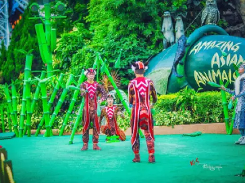 Ocean Park Hong Kong