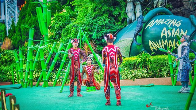 Ocean Park Hong Kong