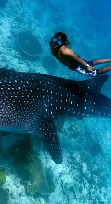 โรงแรมที่มีที่มีสระว่ายน้ำในจิบูตี