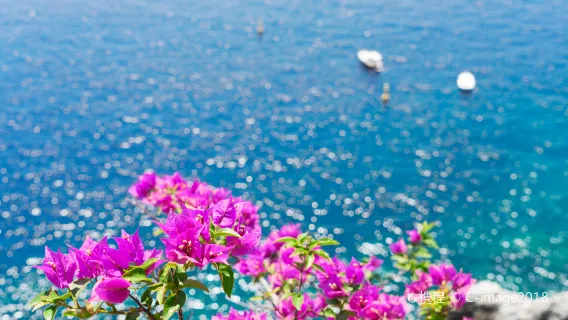 Excursion d'une journée sur la côte amalfitaine et à Positano au départ de Sorrente avec un Guide touristique anglophone