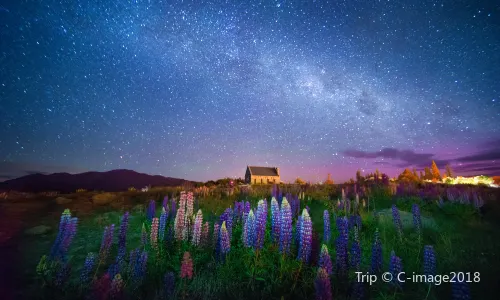 South Island