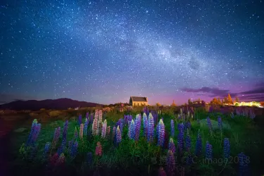 South Island