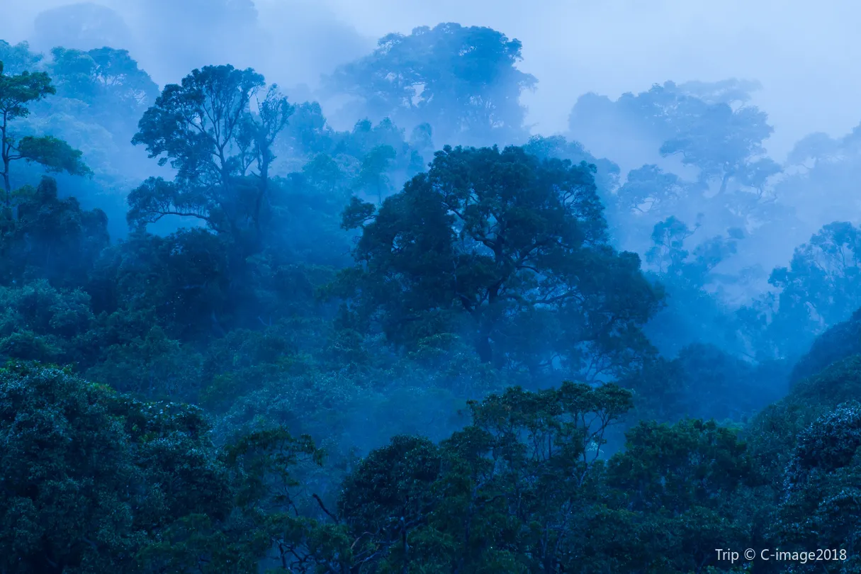 4_อุทยานแห่งชาติเขาใหญ่