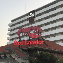 Red Lobster Okinawa Chatan 여행 사진