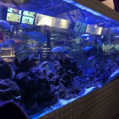 Cicerello's Fremantle User Photo