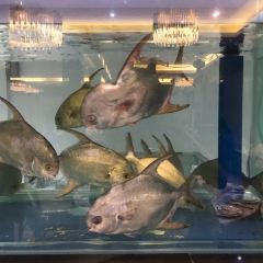 Luy's Classic Tea House User Photo