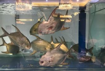 Luy's Classic Tea House User Photo