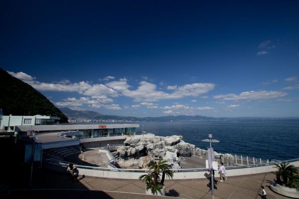 名古屋発大分行き格安航空券