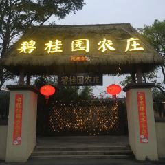 Biguiyuannongzhuang User Photo