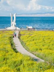 Qinghai Lake Horse Riding