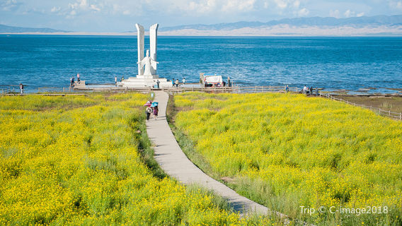 Qinghai Lake Horse Riding