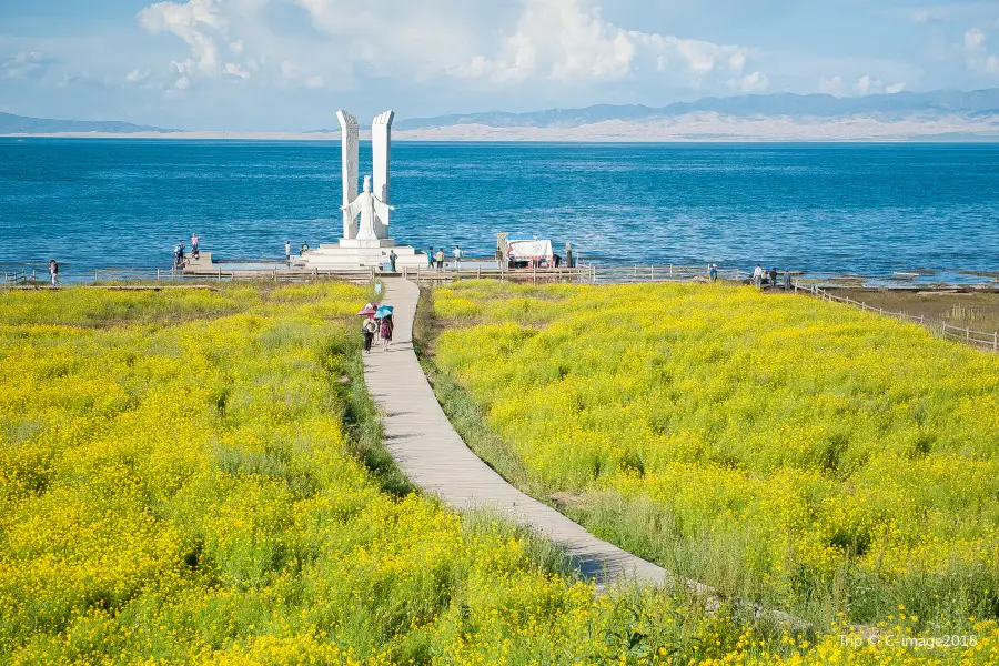 Qinghai Lake Horse Riding