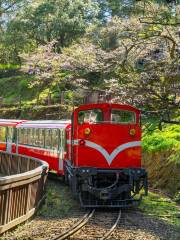 阿里山林業森林鉄道