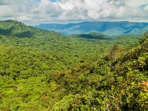 Riserva Biologica di Monteverde
