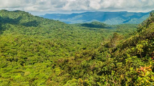 Monteverde Cloud Forest Biological Preserve