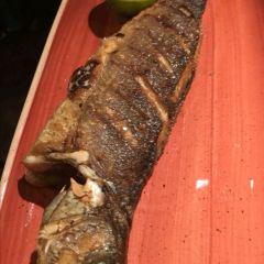 Pesca張用戶圖片