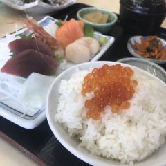 Tabiji User Photo