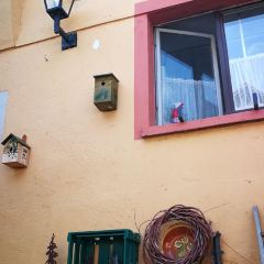 Gasthaus Zum Adler User Photo