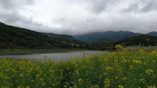 白鷺生態公園位於南澳縣后宅鎮東側，以北面坑水庫湖體為中心，依