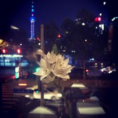 上海外滩东方美仑美奂酒店·MHaus美庐餐厅 User Photo