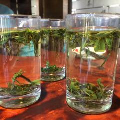 Gardern TeaHouse User Photo