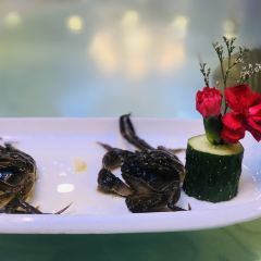 WU JI XIAO YUAN LOU User Photo