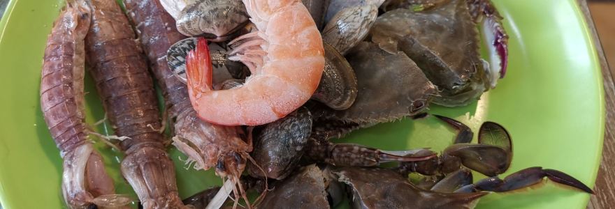 大食代(菜圃路店)