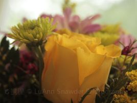 Chuck's Floral Co.