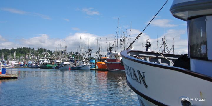 Port of Newport - Commercial Marina
